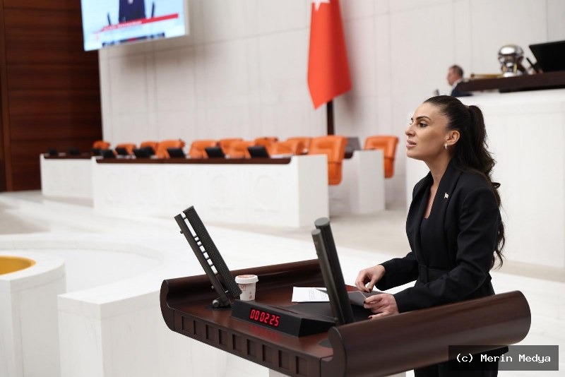 YENİ Parti’den Fon Krizi Üzerine Önemli Açıklamalar